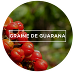GRAINE DE GUARANA